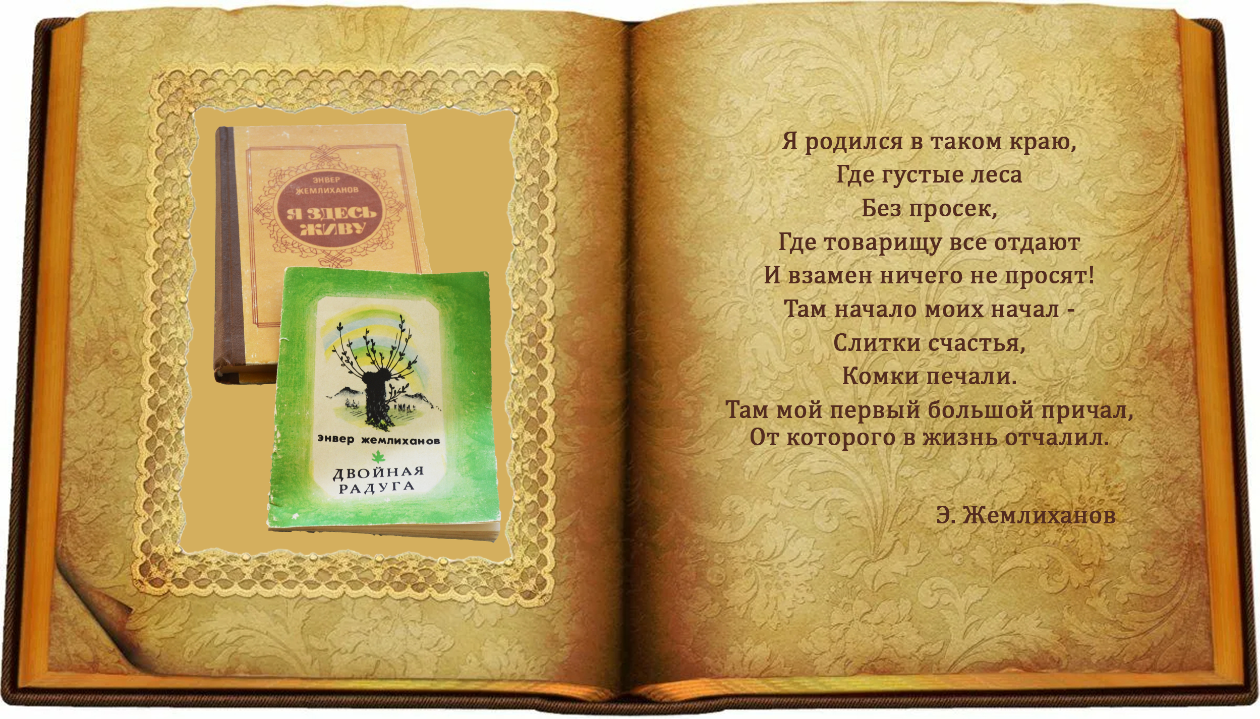 книги Жемлиханова