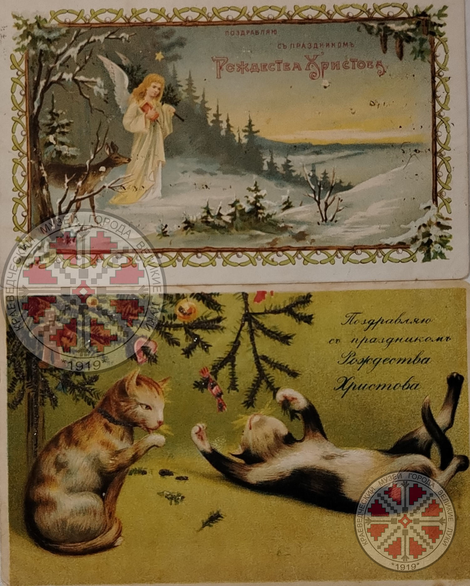 IMG_20251218_143617_edit_3249746631378026 (1) (1)