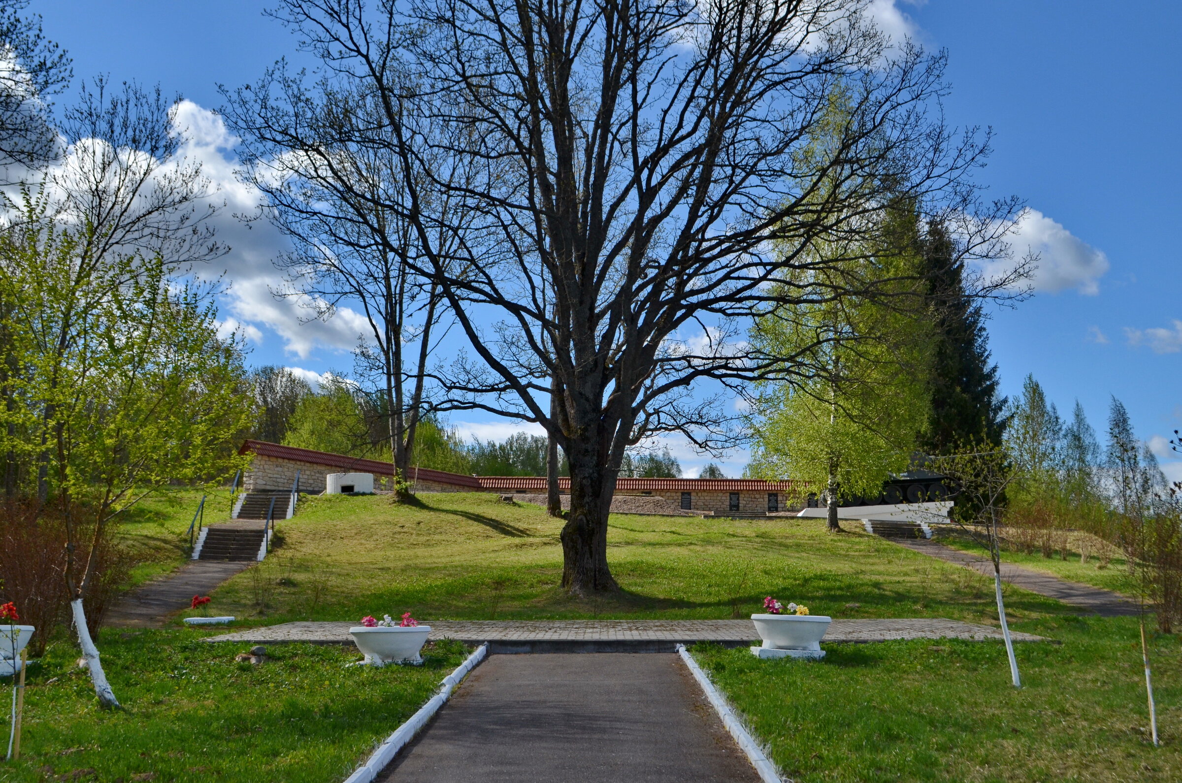 scale_2400 (2)